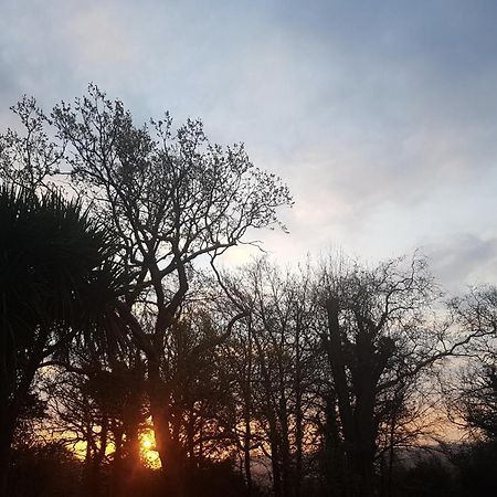 Cosy 2-Bed Property In Ashburton Dartmoor Newton Abbot Buitenkant foto