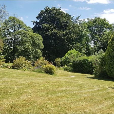 Cosy 2-Bed Property In Ashburton Dartmoor Newton Abbot Buitenkant foto