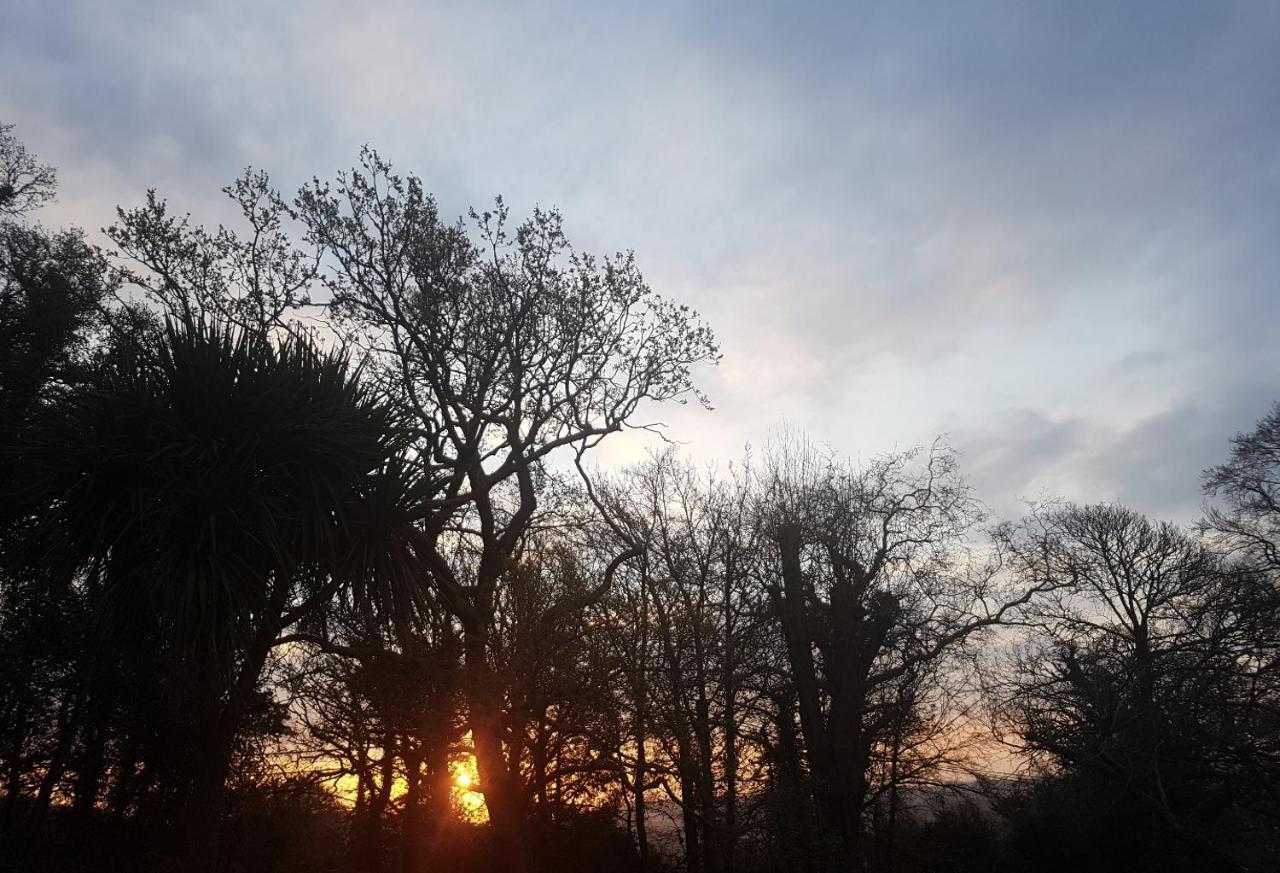 Cosy 2-Bed Property In Ashburton Dartmoor Newton Abbot Buitenkant foto
